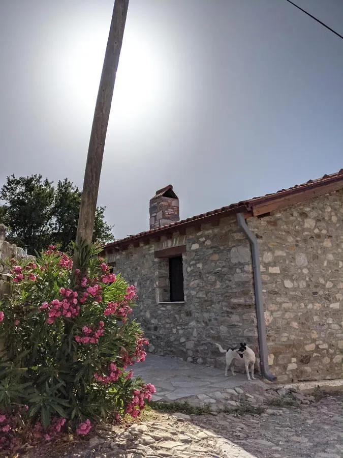 Bahab Guest House Doganbey